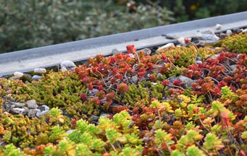 the cost of Hadspen green roof installation